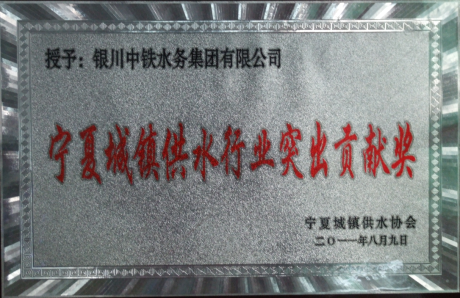 寧夏城鎮(zhèn)供水行業(yè)突出貢獻(xiàn)獎
